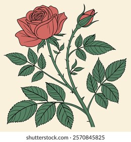 This is a beautiful rose flower