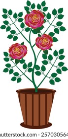 This Beautiful Rose Plant in Pot is a vector Illustration and can be used as an Interior Decoration Frame as well as a Book Illustration. 