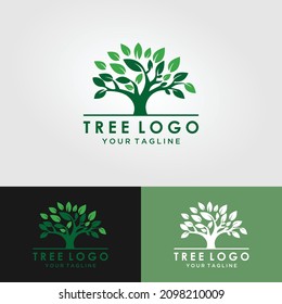 This beautiful tree logo vector Tree Circle is a symbol of life, beauty, growth, strength and good health.
