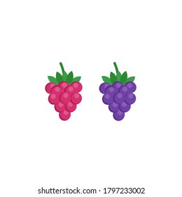 This is a berries. Vector raspberry and blackberry isolated on white background.