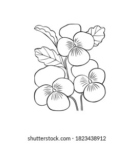 this is best flower coloring page