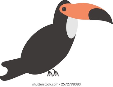 This is a bird toucan.