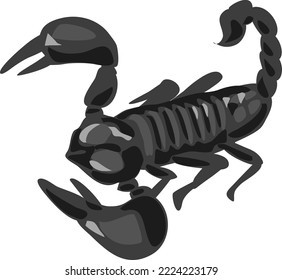 this is a black scorpion vector illustration