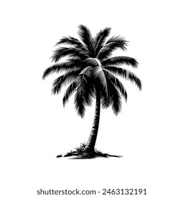 This is black silhouette palm tree