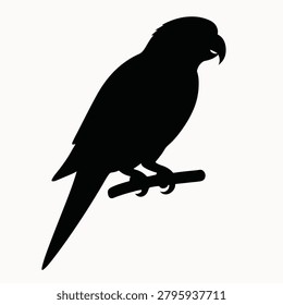 This is a black silhouette of a parrot perched on a branch, set against a white background. The image is