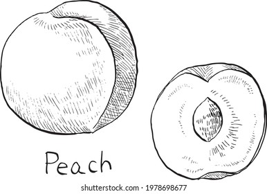 This is a black and white illustration of two peaches drawn with a hand-drawn pen.