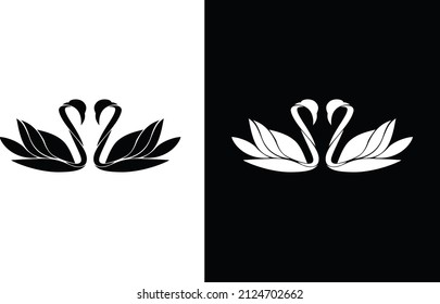 This is black and white swan 