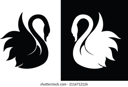 This is black and white swans