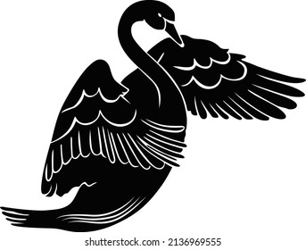 This is black and white swans vector 