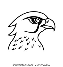 This is a black-and-white illustration of a falcon's head, featuring sharp details and a focused, intense expression.