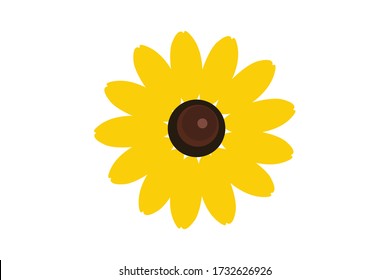 This is Black-eyed Susan in white background.