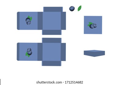 This is Blue berry and Packaging in white background.