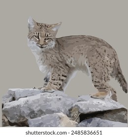 Dies ist ein Bobcat (Luchs rufus)