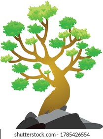 This bonsai plant vector can be used for logos related to aquascape