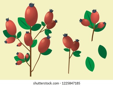 This is a branch with red oval berries and leaves. All colors and sizes can be changed. All items can be rotated and swapped.