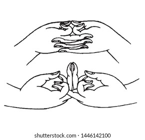 
This is the Buddha gesture line drawing