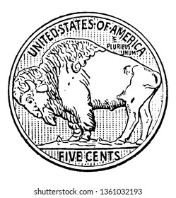 This is the Buffalo Nickel coins. Reverse side of American five cent piece with buffalo, vintage line drawing or engraving illustration.