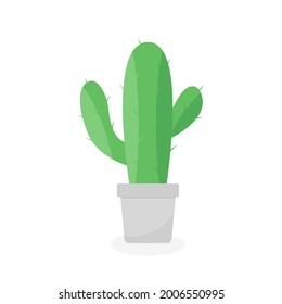 This is a cactus isolated on a white background.