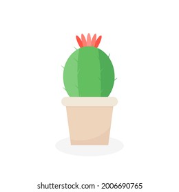 This is a cactus isolated on a white background.