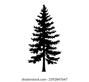 This captivating black and white silhouette of a spruce tree exudes a sense of serenity and natural beauty.