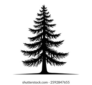 This captivating black and white silhouette of a spruce tree exudes a sense of serenity and natural beauty.