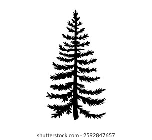 This captivating black and white silhouette of a spruce tree exudes a sense of serenity and natural beauty.