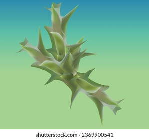 THIS IS CARALLUMA PLANT VECTOR DESIGN 