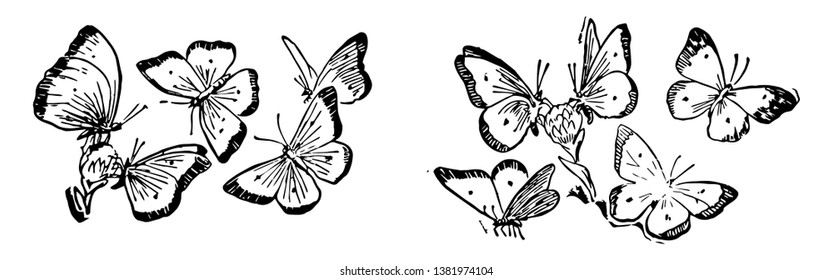 Este cartão mostra borboletas. Cinco borboletas voam em um grupo de 2. Duas borboletas em cada grupo estão na flor pegando o mel, enquanto outras três estão voando ao redor de uma flor, vintage 