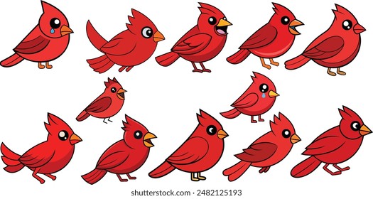 This is a Cardinal Birds  design ,animal vector design with high quality eps format   