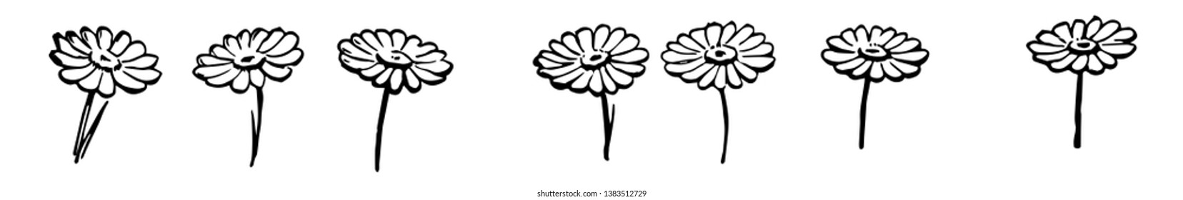 Estas cartas tienen flores. 7 Las flores se colocan por separado sin formar grupo aby, dibujo de línea vintage o ilustración de grabado. 