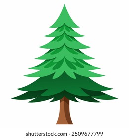 This is a cartoon image depicting a pine tree set against a white background