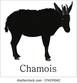 This is a chamois and letters on a white background.