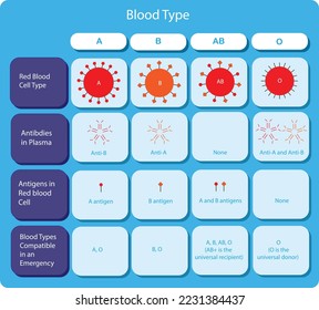 This chart summarizes the characteristics of the blood types in the ABO blood group