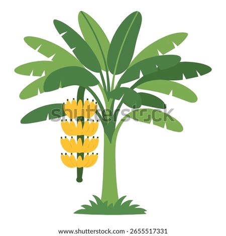 This cheerful illustration depicts a vibrant banana tree, featuring its distinctive large green leaves and multiple bunches of ripe yellow bananas.
