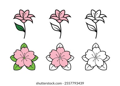 This Cherry Blossom and Lily flower bundle offers three styles: vibrant color, color with line art, and black line art. Perfect for creative projects, decor, and designs, adding charm to any artwork.