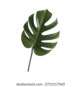 Este primer plano presenta una sola hoja de monstruo verde oscuro brillante, que muestra sus características divisiones profundas y su belleza tropical natural, perfecta para el diseño.