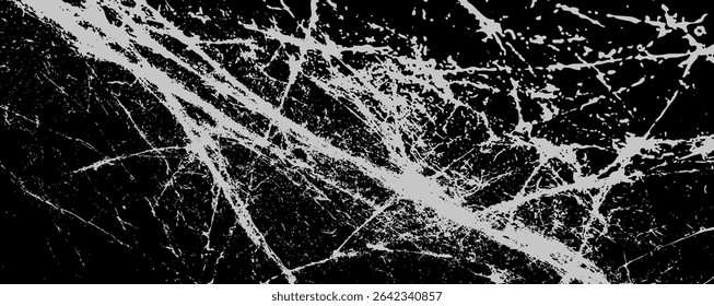 This close-up view reveals the delicate complexity of a spider web against a dark background, highlighting the fine strands and intersections that create an intricate pattern.