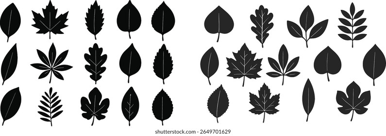 This collection displays an array of black silhouettes featuring different types of leaves. Each leaf varies in shape and size, ideal for graphic design and nature-inspired projects.