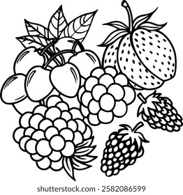 This collection features beautifully drawn illustrations of various fruits, from juicy berries to tropical delights