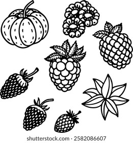 This collection features beautifully drawn illustrations of various fruits, from juicy berries to tropical delights