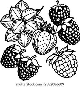 This collection features beautifully drawn illustrations of various fruits, from juicy berries to tropical delights