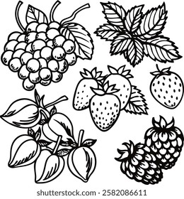 This collection features beautifully drawn illustrations of various fruits, from juicy berries to tropical delights