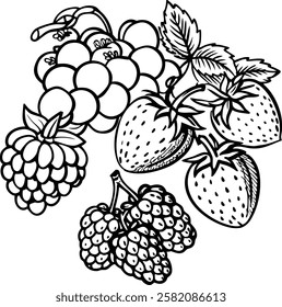 This collection features beautifully drawn illustrations of various fruits, from juicy berries to tropical delights