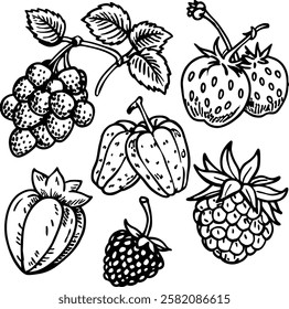 This collection features beautifully drawn illustrations of various fruits, from juicy berries to tropical delights