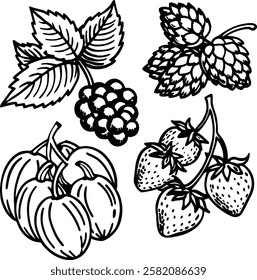 This collection features beautifully drawn illustrations of various fruits, from juicy berries to tropical delights