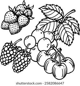 This collection features beautifully drawn illustrations of various fruits, from juicy berries to tropical delights