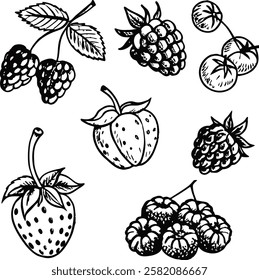 This collection features beautifully drawn illustrations of various fruits, from juicy berries to tropical delights