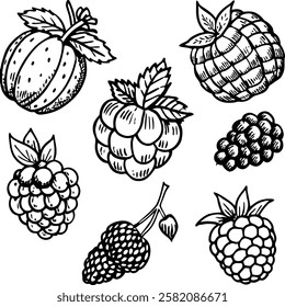 This collection features beautifully drawn illustrations of various fruits, from juicy berries to tropical delights