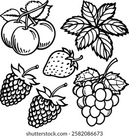 This collection features beautifully drawn illustrations of various fruits, from juicy berries to tropical delights