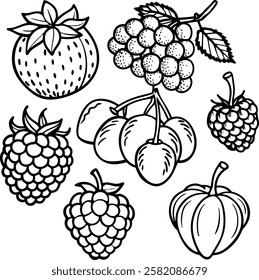 This collection features beautifully drawn illustrations of various fruits, from juicy berries to tropical delights